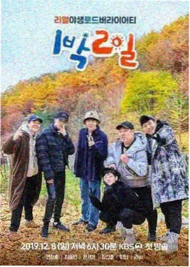周末农庄剧照氛围图，温室菜畦与木栅栏